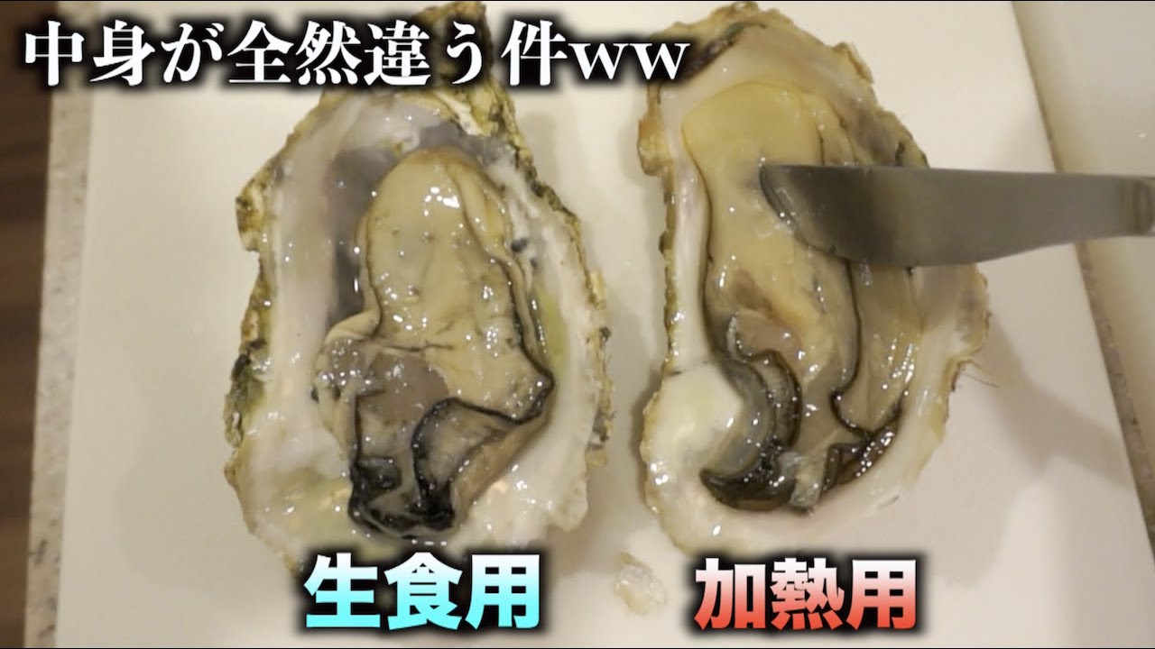 生食用と加熱用の牡蠣を切ったら中身の違いに衝撃の事実が発覚！！！！！！
