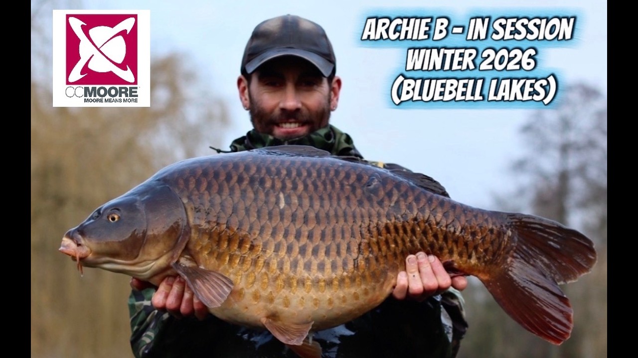 Archie B - In Session - Winter 2026 (Bluebell Lakes)