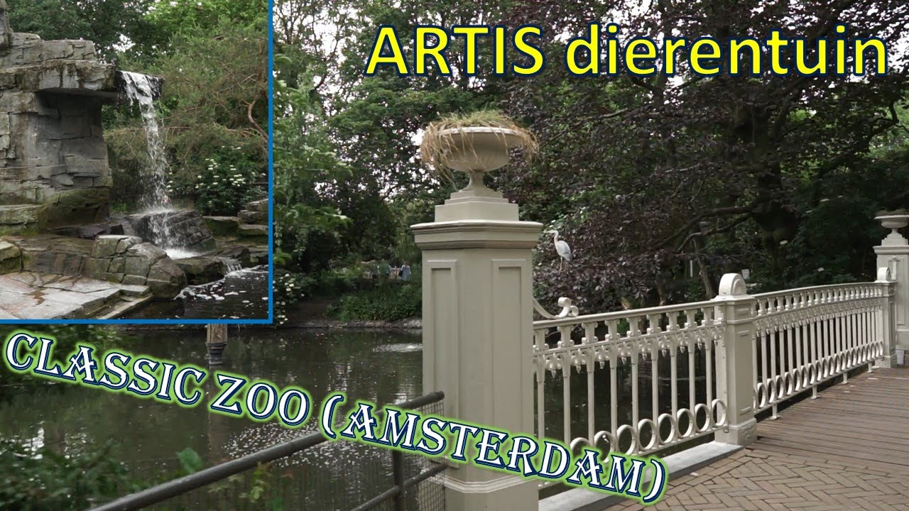 KLASSIEKE DIERENTUIN || ARTIS Amsterdam Review