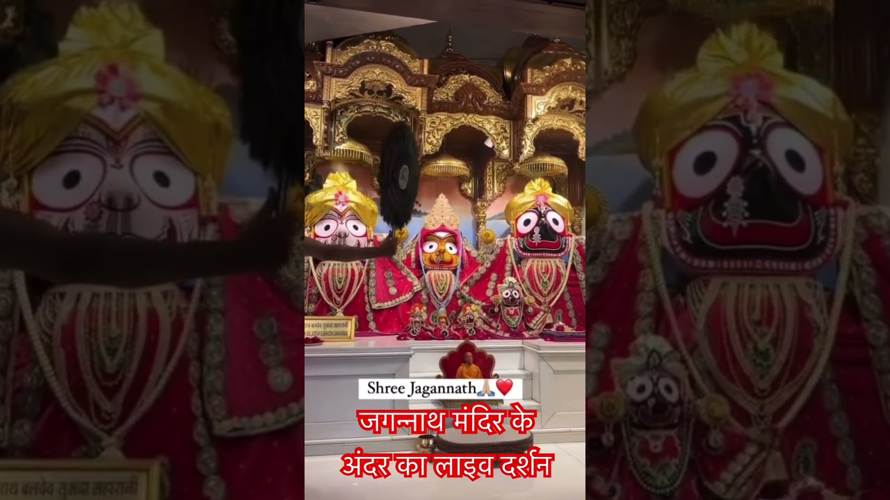 Shree Jagannath Live Darshan|Rath Yatra#shorts#jagannath#live#darshan#puri #rathyatra