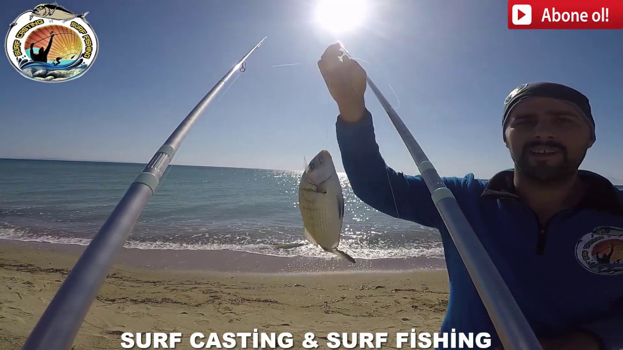 ENEZ SAROZ SARGO AVI Surf Casting Surf Fishing 12.10.2019