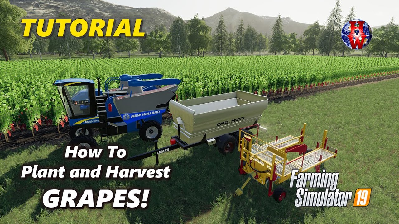 Как сажать и собирать виноград! — Farming Simulator 19 — Учебное пособие по винограду для FS19