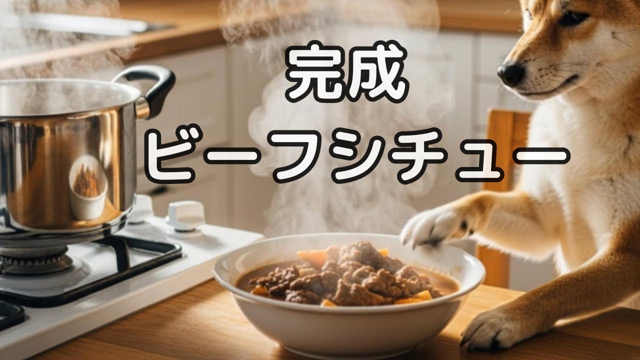 🐶【癒し6分】柴犬ポチ食堂｜静かに煮込むビーフシチューの時間
