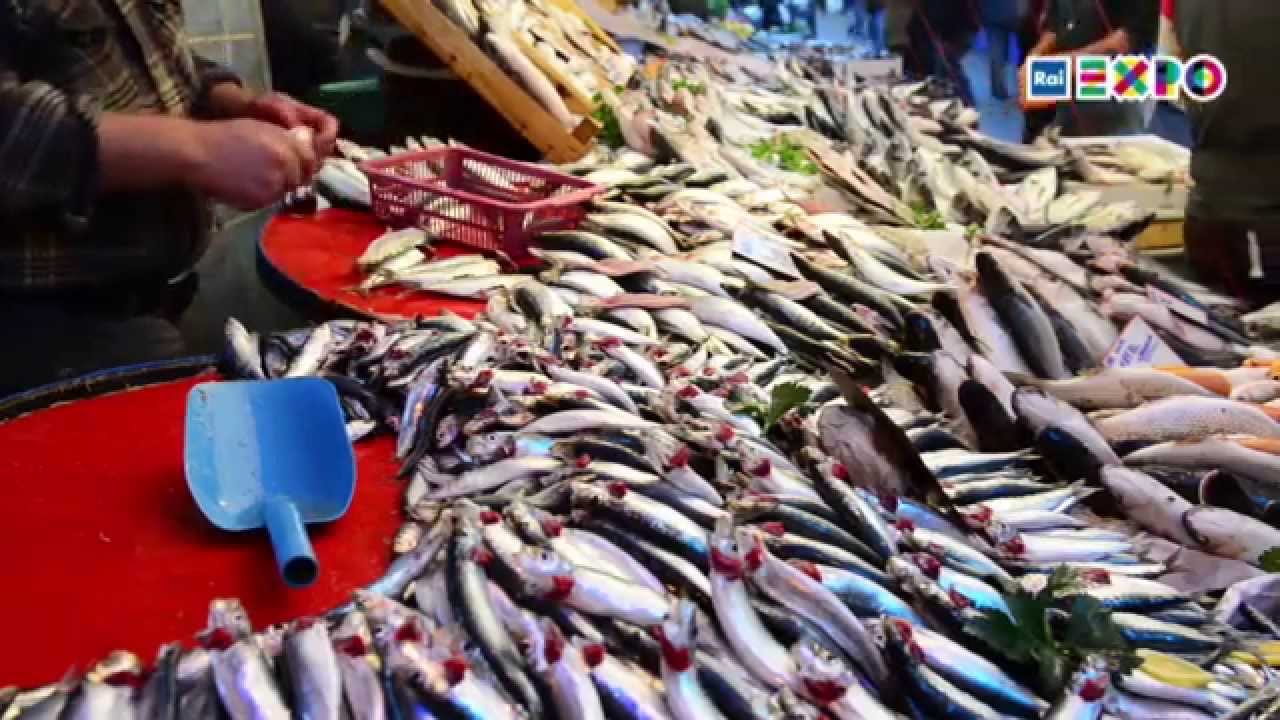 Eulogy of the anchovy