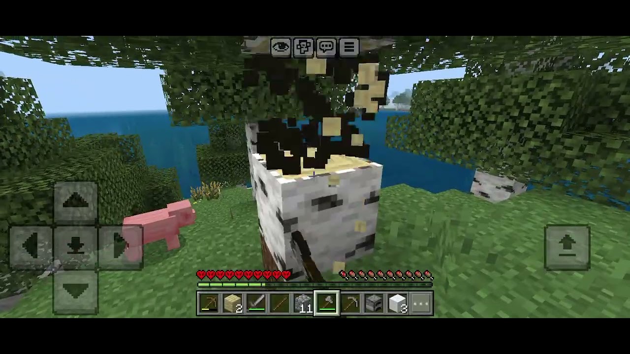 Day 1 to 100 hard core survival series