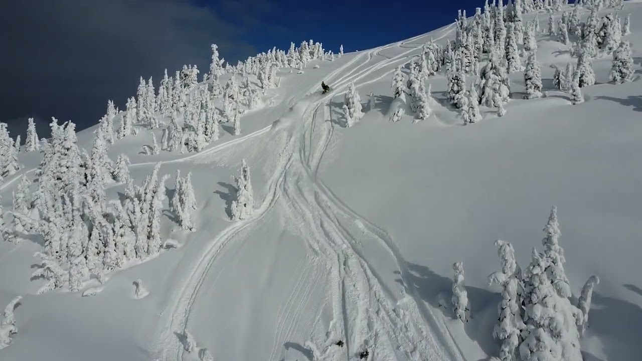 Snow and Sun BC Mountain Snowmobiling
