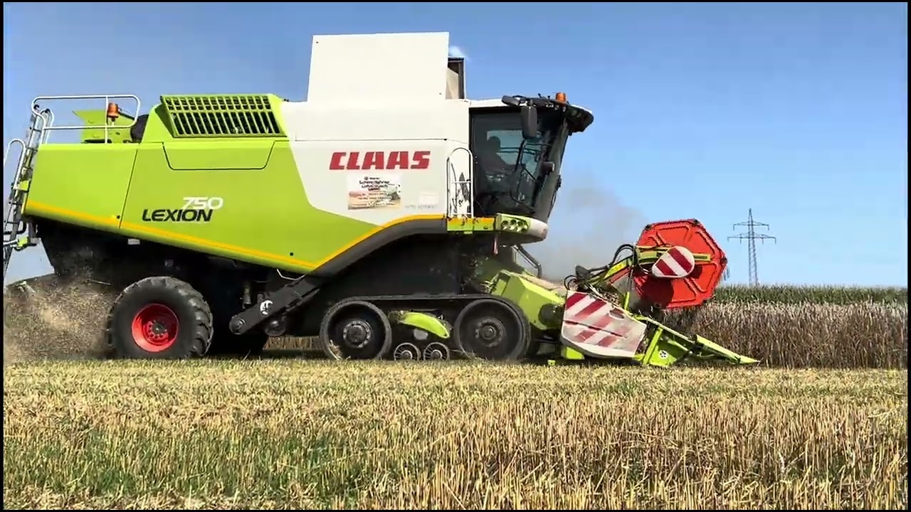 Mais/Weizen Dreschen Handy-und Drohnenvideos  