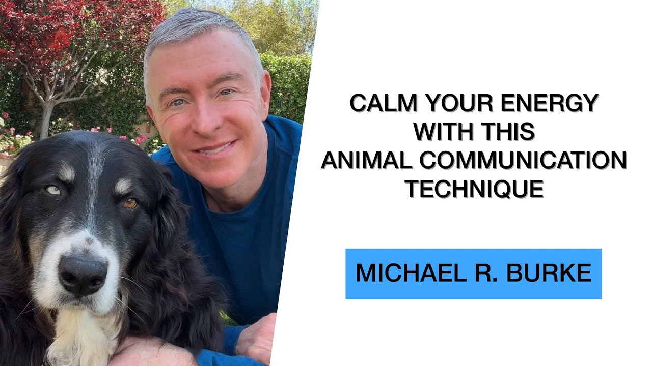 Calm Your Energy Fast with This Animal Communication Grounding Technique