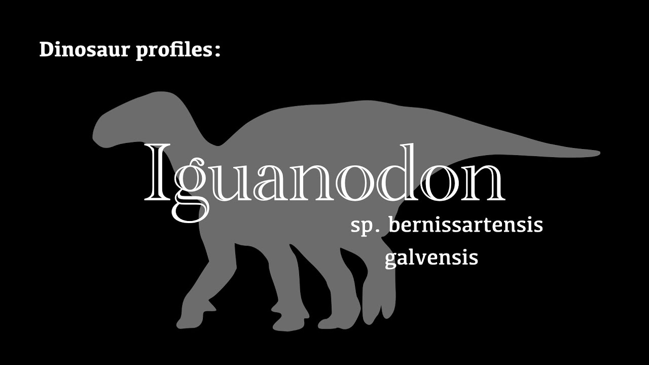 Dinosaur Profile: Iguanodon
