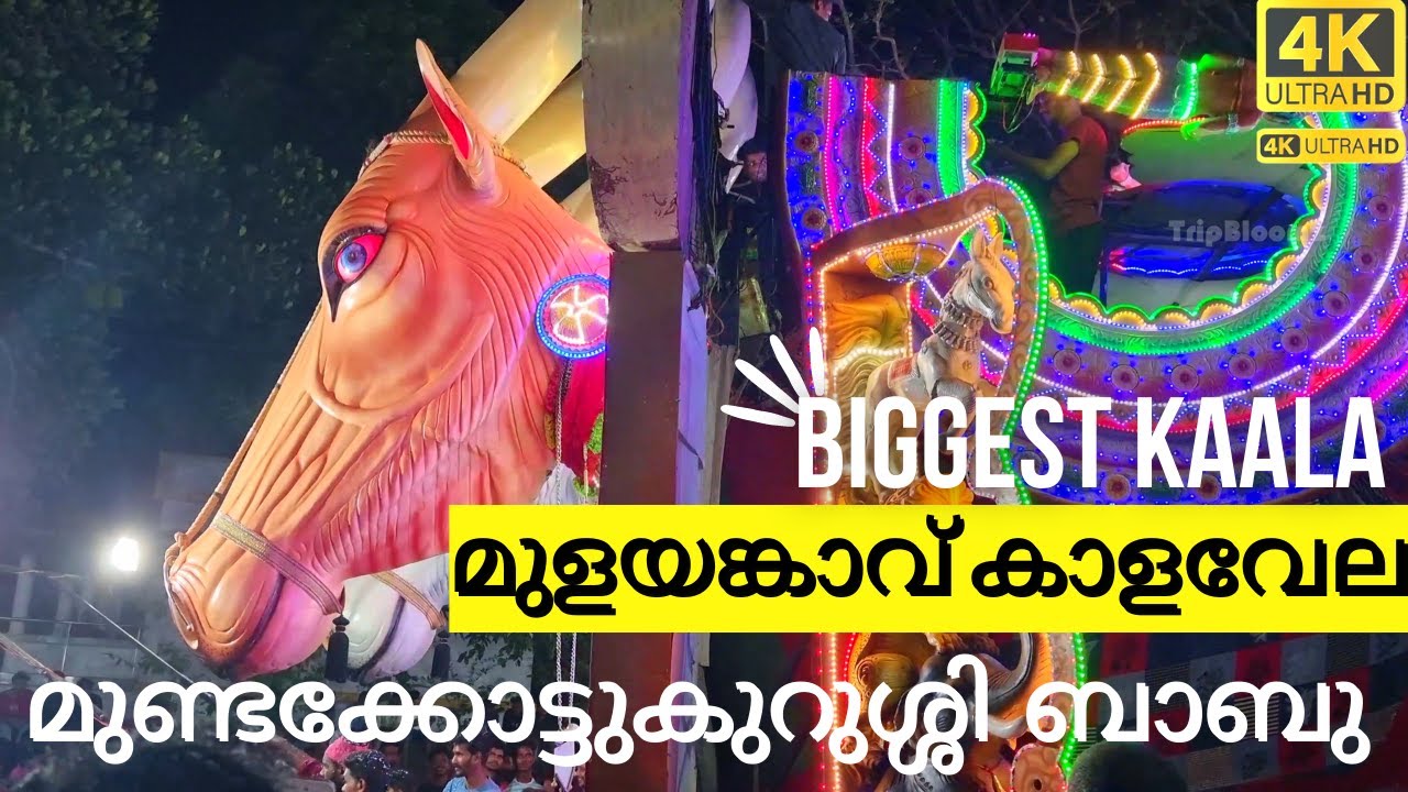 Biggest Kala | Mulayankavu Cheriya Kala Vela | Babu Mundakottukurussi | Shivathandavam 2022