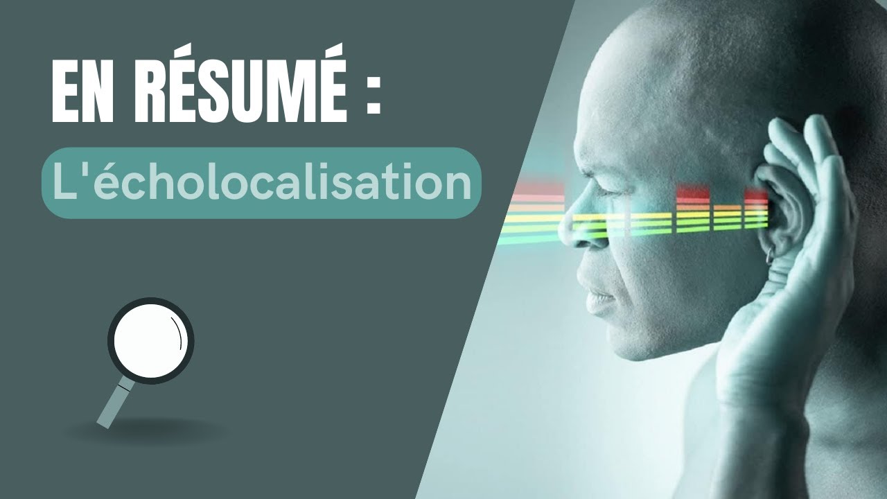 L'écholocalisation : voir sans yeux