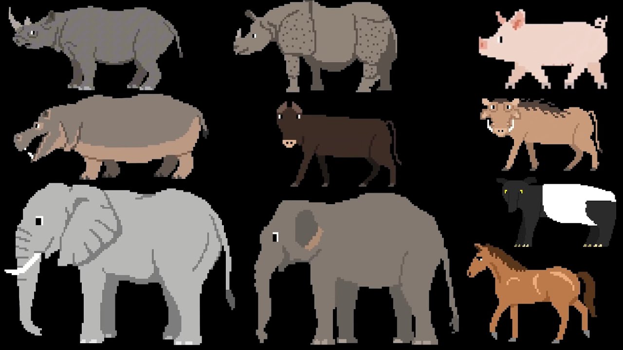 (The Last Video Of 2025) Pachyderms - The Kids' Picture Show