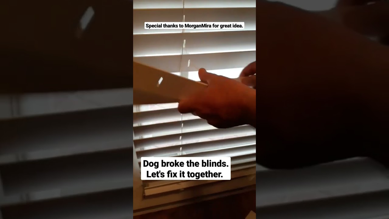 Fast and easy way to fix broken blinds #short #fyp #like #love #happy #diy #dog