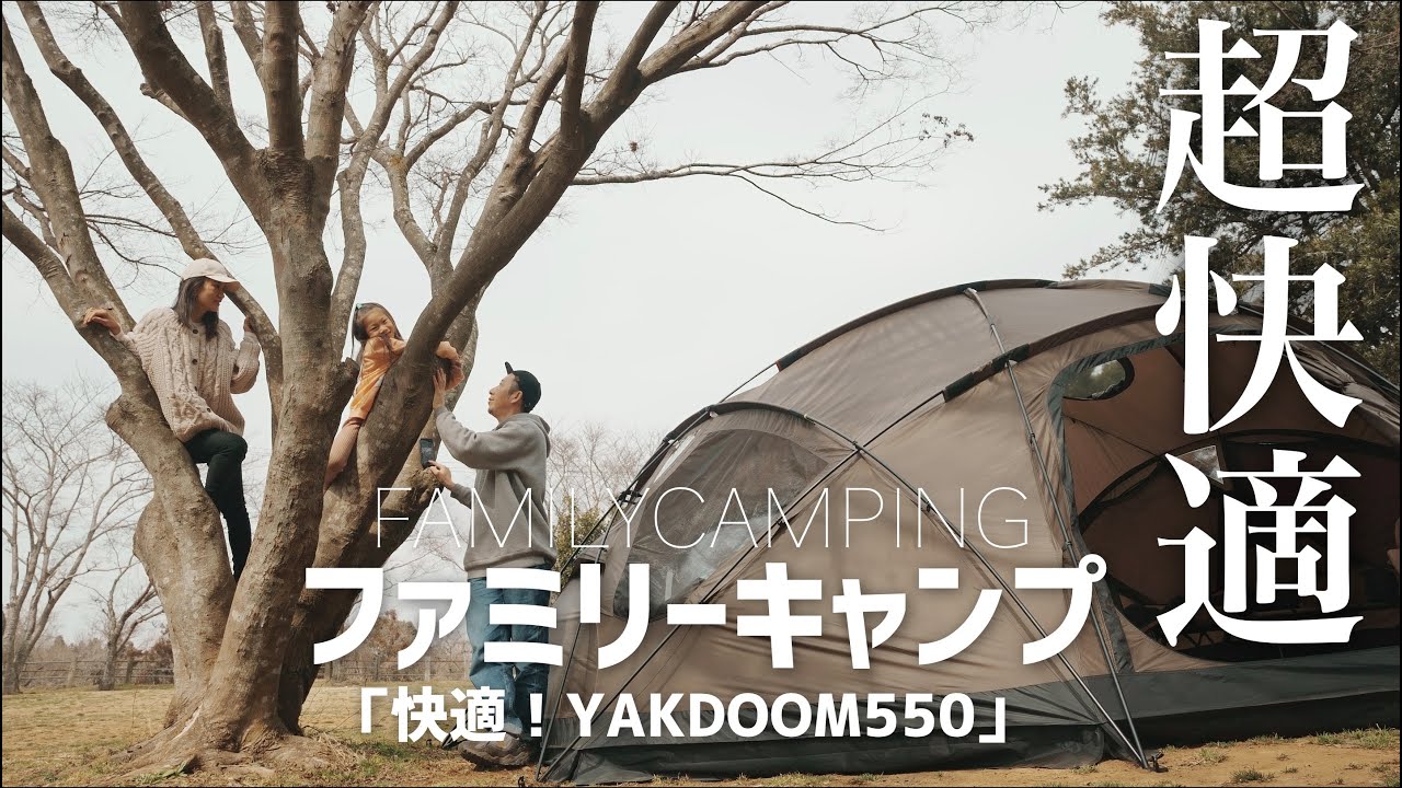 『超快適』YAK DOME 550 ヤクドーム で春を感じる レイアウト公開 camping movie 4k