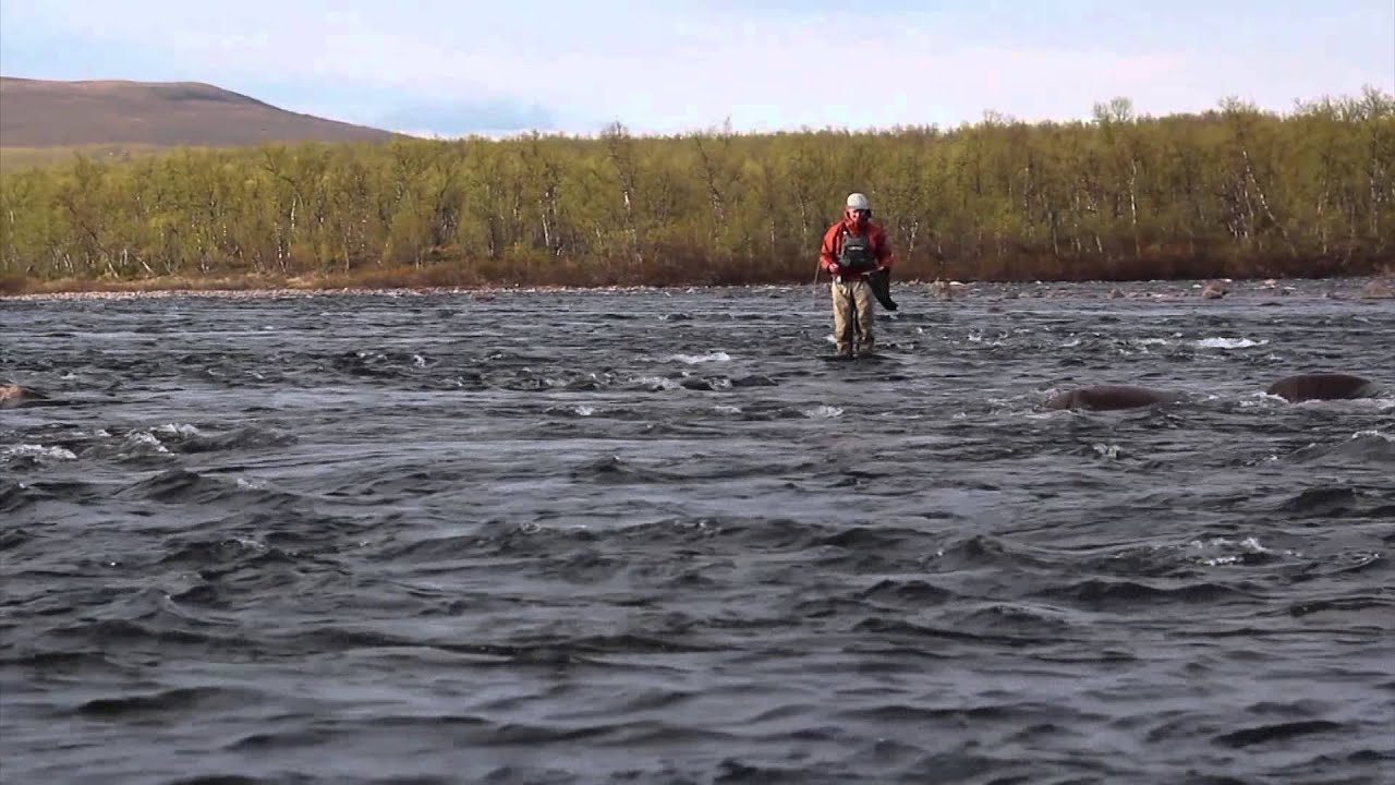 Rautasälven