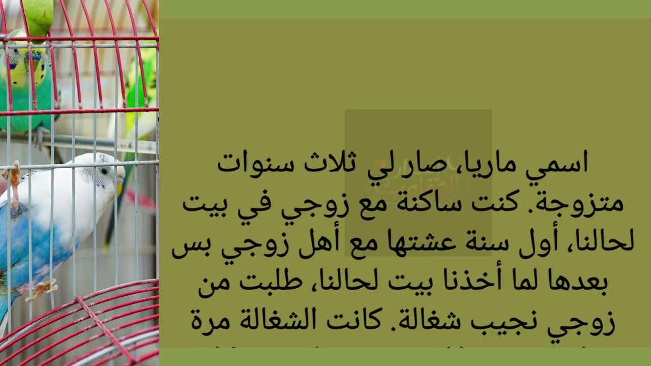 قصة مؤثرة تلامس القلب |