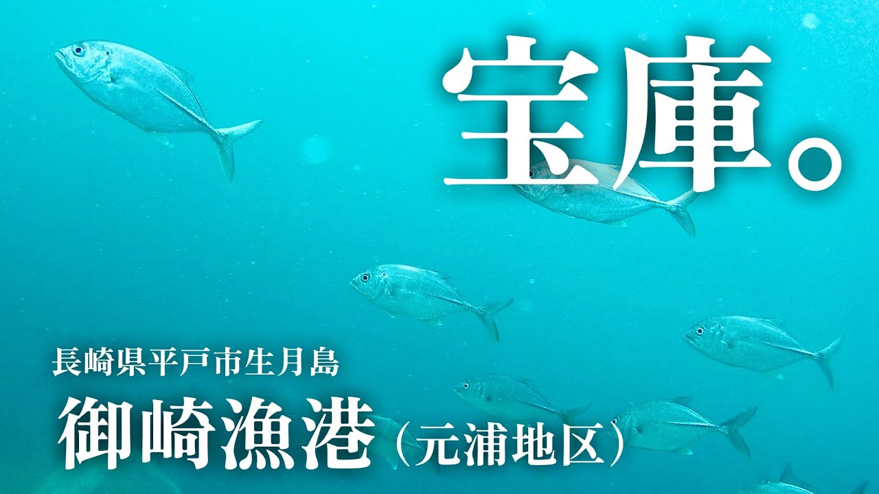 【御崎漁港（元浦地区）長崎県平戸市生月島・海中映像】デカアジに感動‼︎平戸の海はやっぱり凄いぞ！豊富な魚影に驚嘆 #225 福岡釣部in 福岡・糸島・佐賀・北九州・玄界灘・長崎・平戸・鷹島・唐津・呼子
