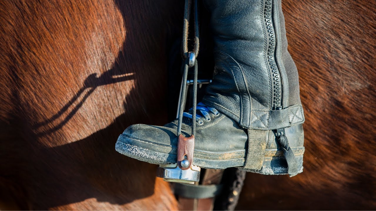 Where Should Your Foot Be in the Stirrup?
