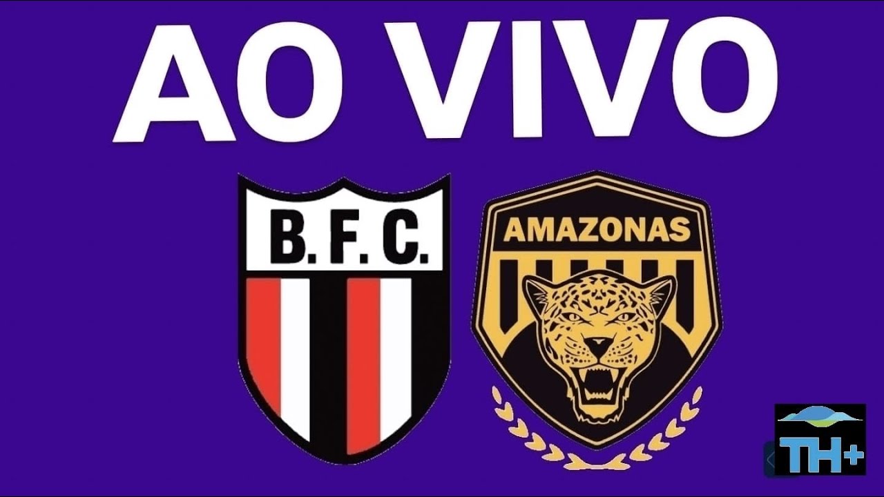 AO VIVO - BOTAFOGO-SP X AMAZONAS-MA