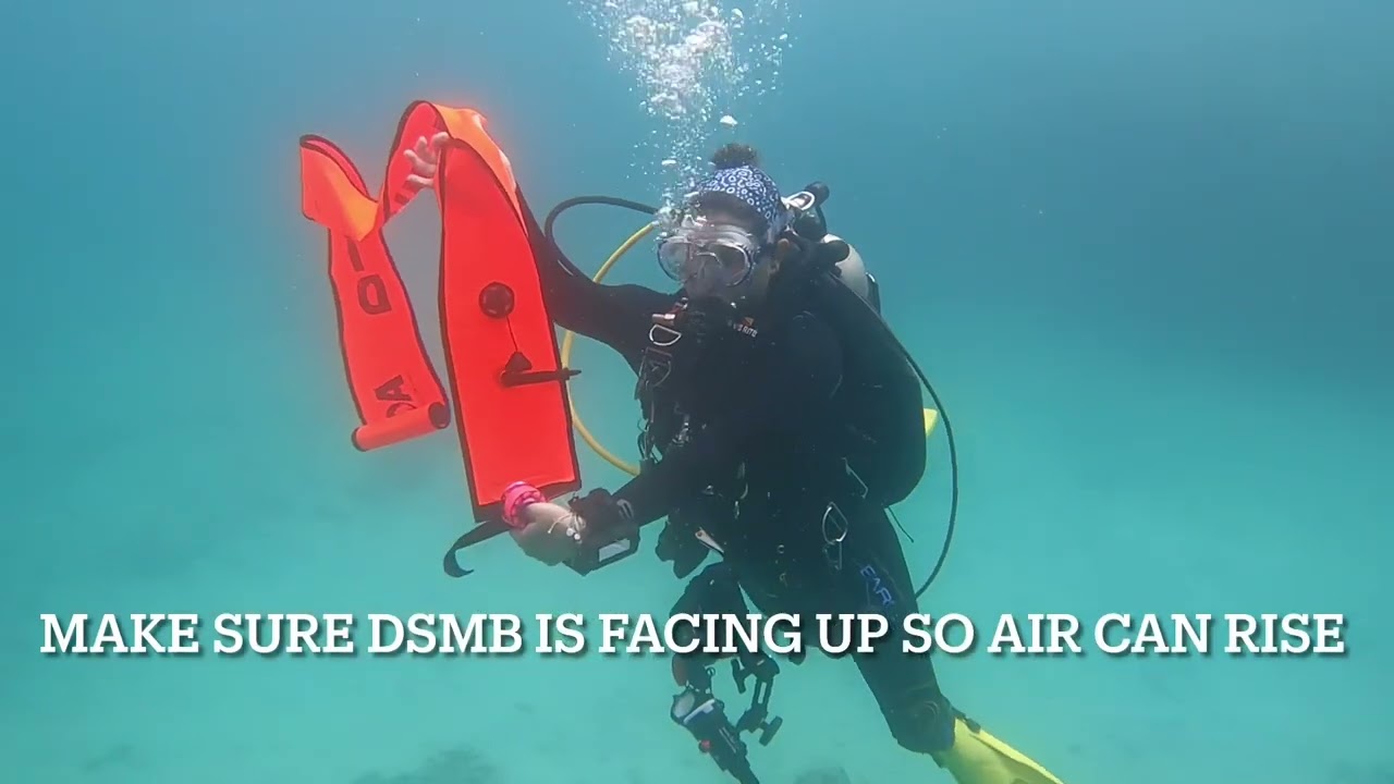 How to deploy your DSMB!