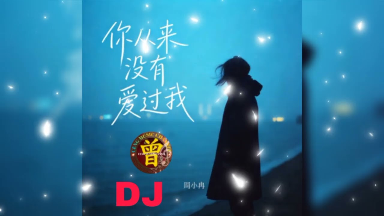 ▶️ 你从来没有爱过我 Ni cong lai mei you ai guo wo DJ默涵版 - 周小冉 Zhou Xiao Ran 【中/pinyin】