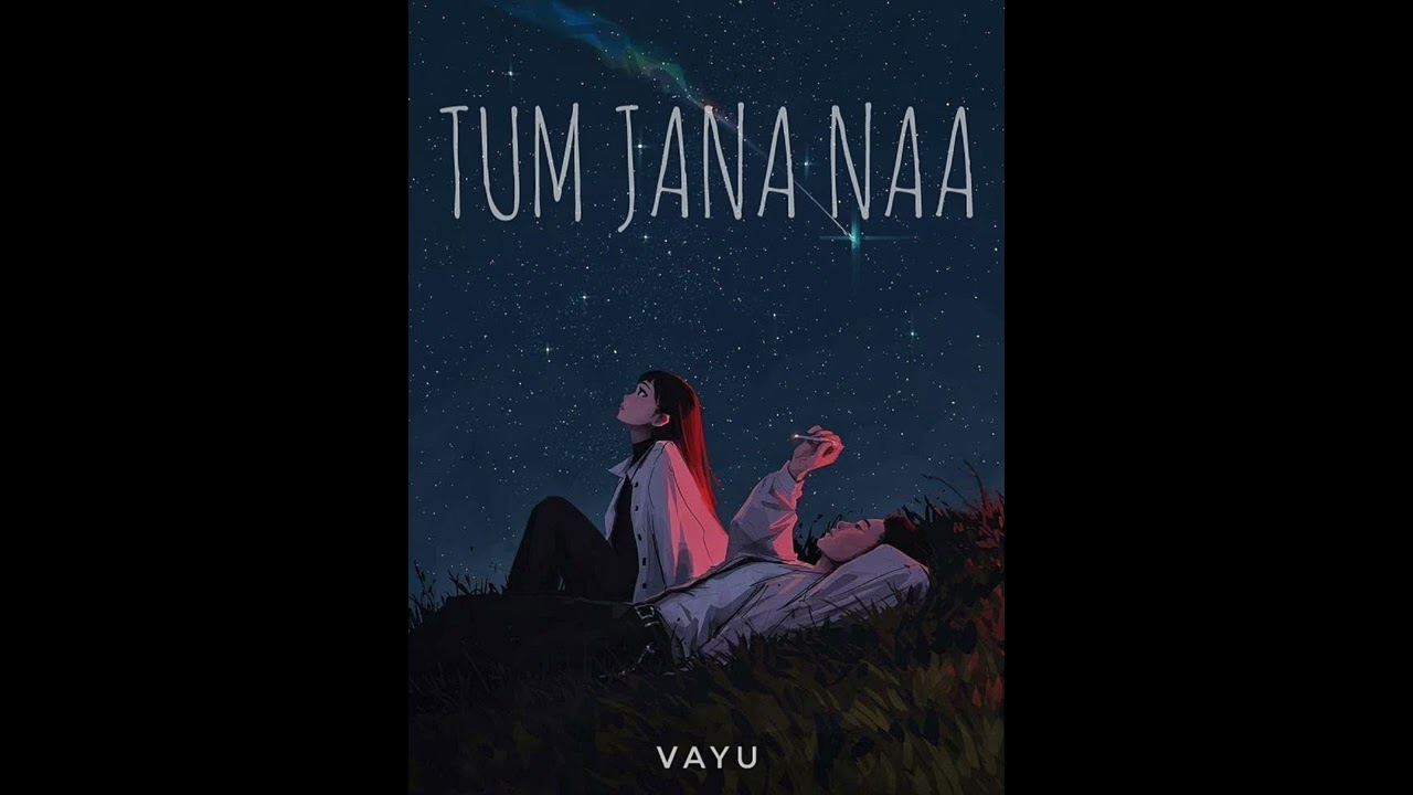 TUM JANA NAA (OFFICIAL AUDIO)  VAYU
