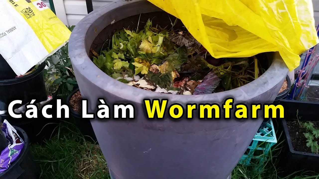 Cách làm Phân, Compost, Wormfarm - toan trinh