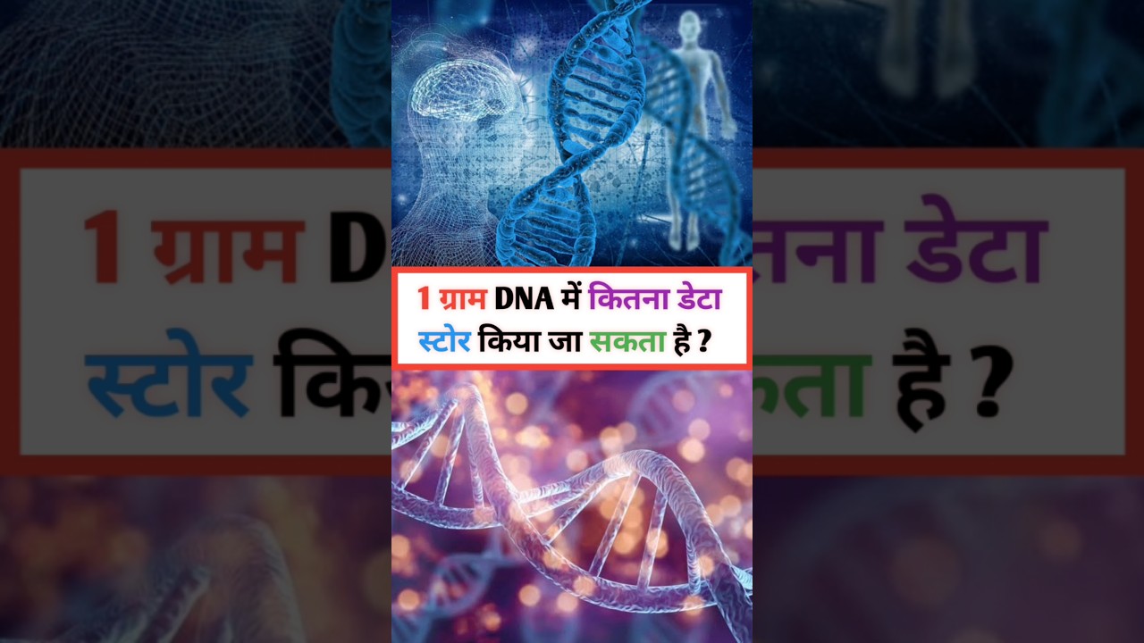 dna mein kitna data store kiya ja sakta hai 