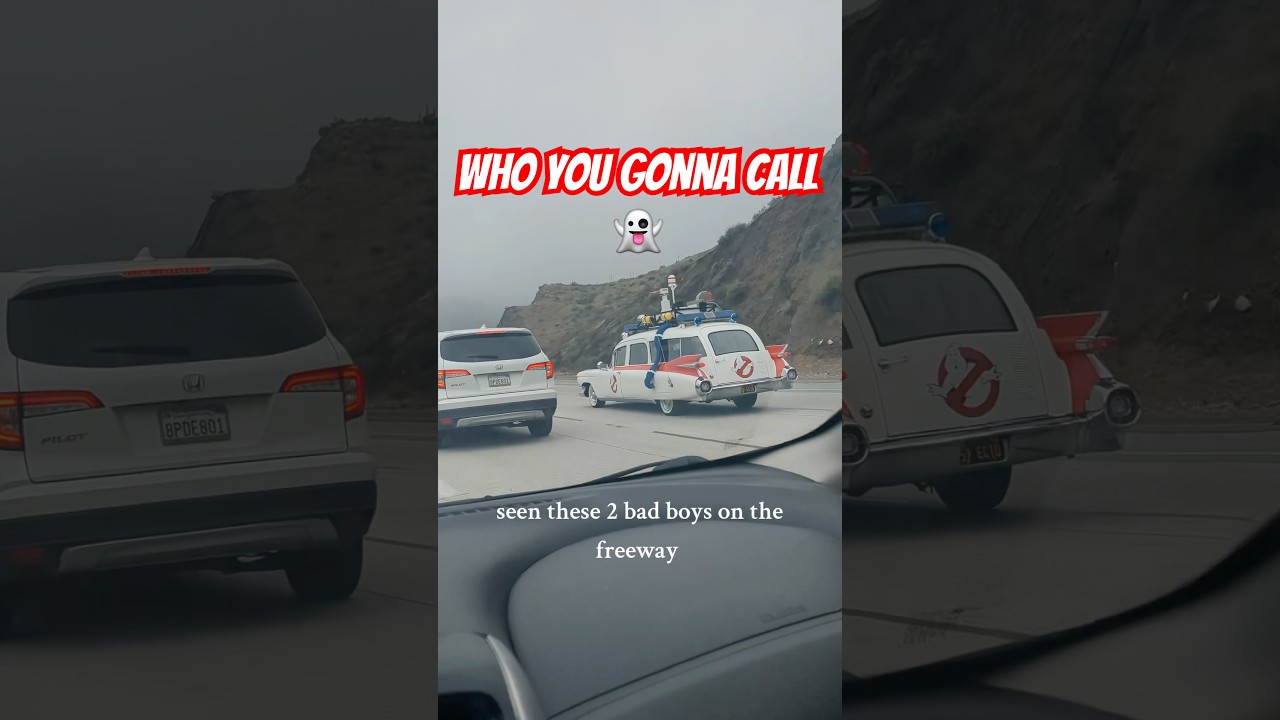 Epic car sighting! Ecto-1 and the Delorean Time Machine! 