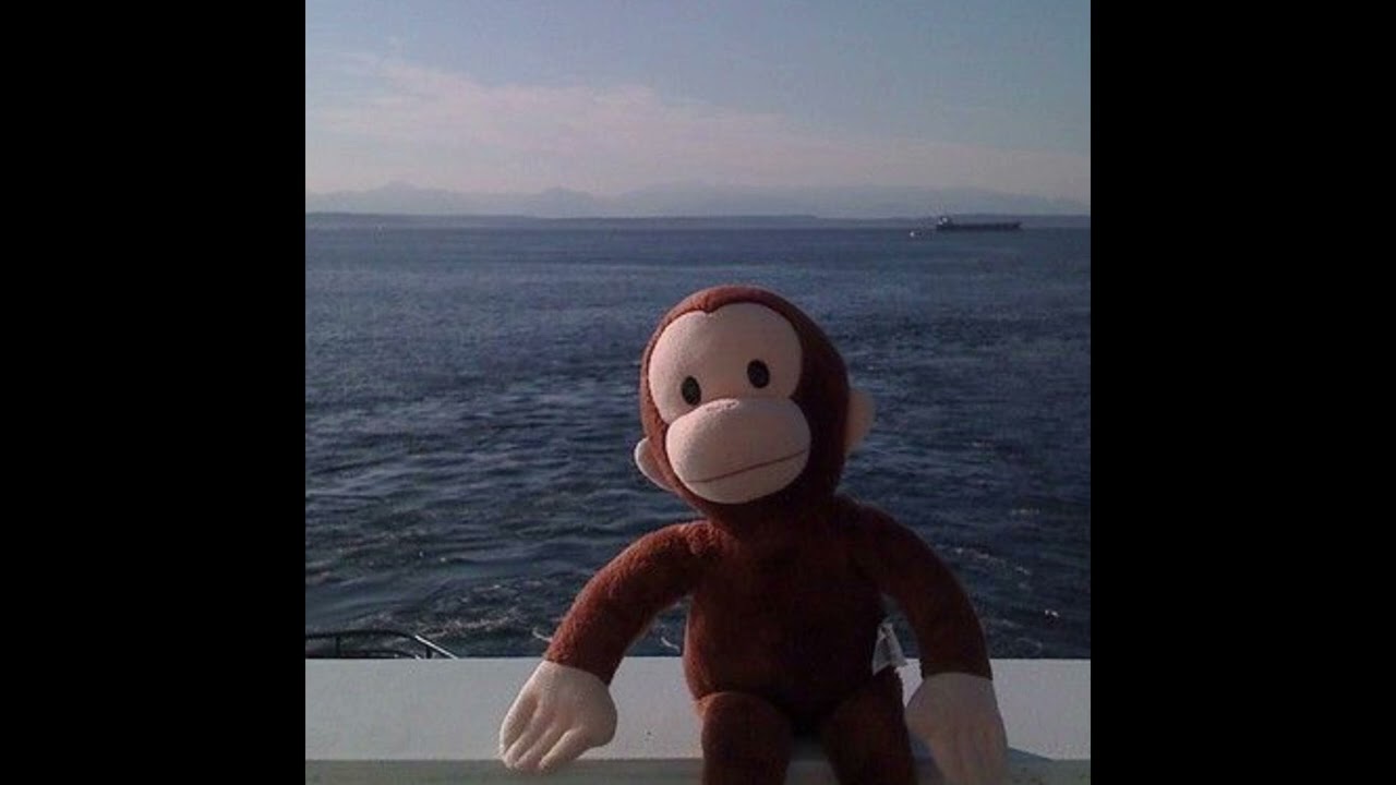 [SOLD] Jump Around | TV Girl Type Beat