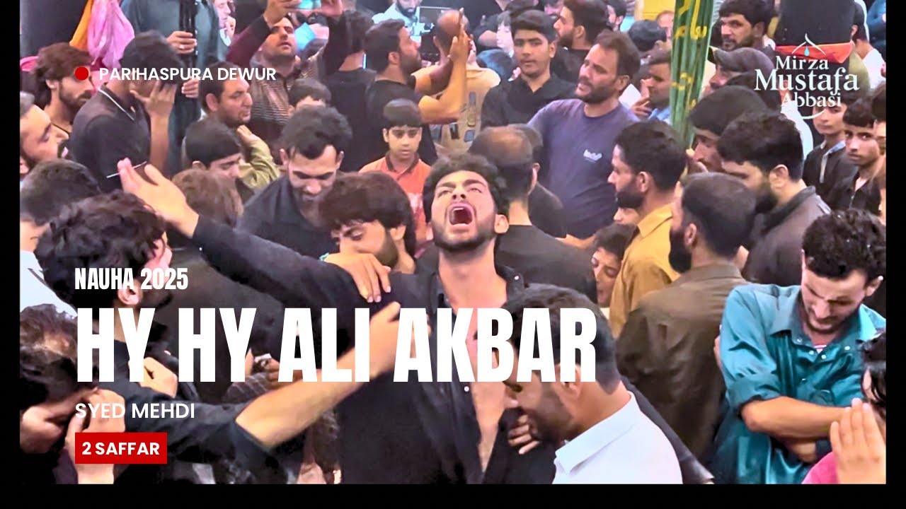 Hy Hy Ali Akbar | Syed Mehdi | Nauha 2025 | 2 Saffar