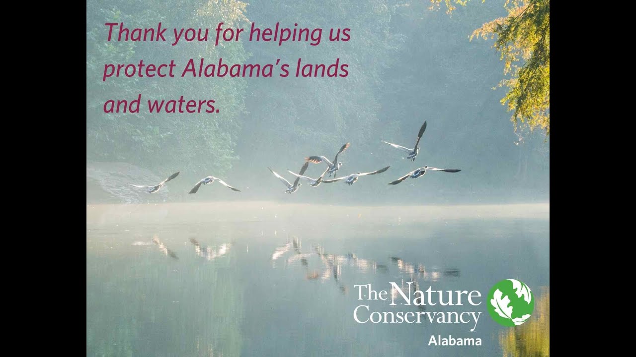 Thank you for your support