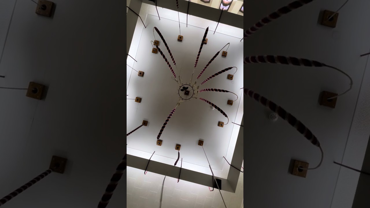 🇳🇿 Continental ringing at Wellington Cathedral of St Paul, New Zealand 