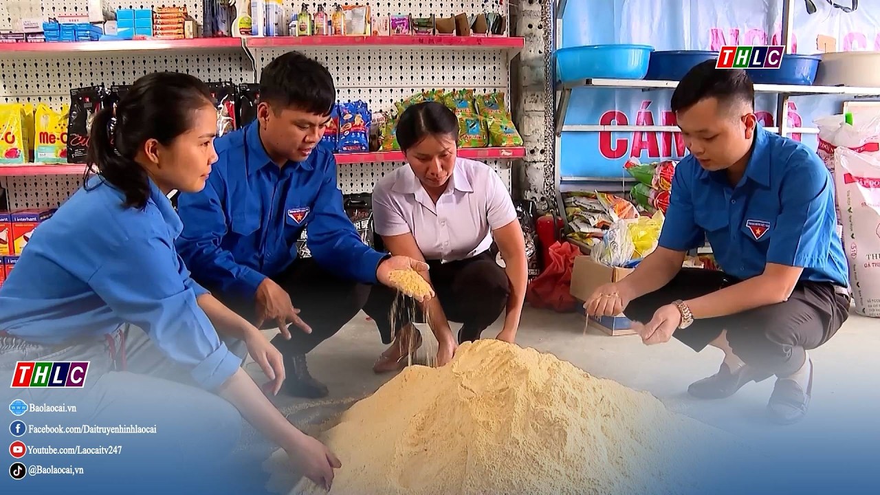 Thời sự Lào Cai 22h00 (17/3/2026) | THLC