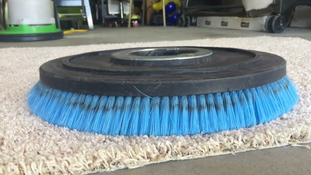 Oxy-Dry How deep is your clean with a brush and a Hogs Hair fibre pad
