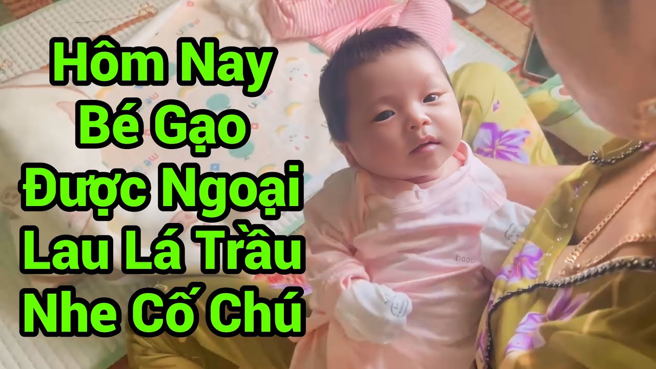 Hôm Nay Bé Gạo Được Ngoại Hơi Lá Trầu Vui Quá Xá..
