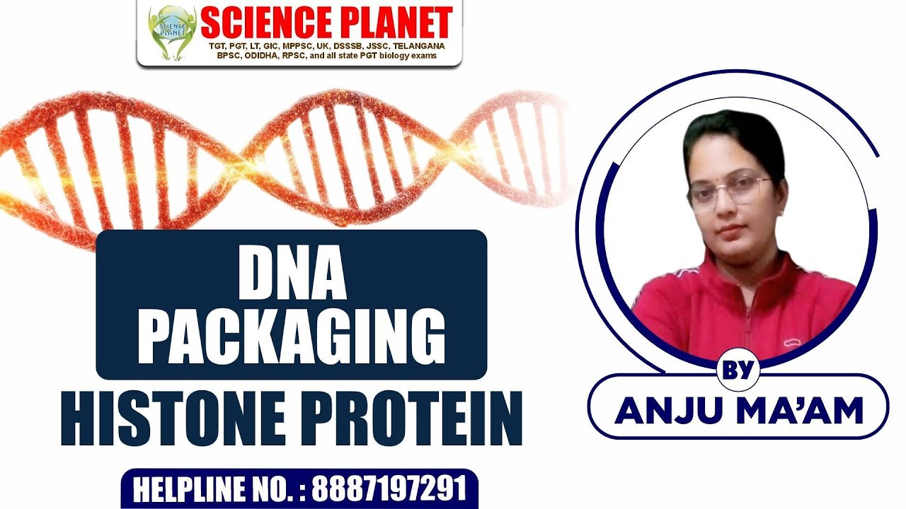 DNA Packaging का रहस्य! 🤔 Histone Protein कैसे करता है DNA को Compact? 🔬 Science Planet by Anju Mam