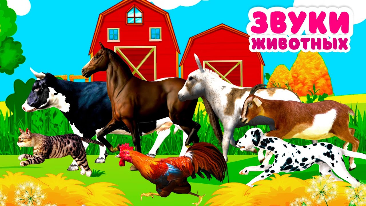 Звуки домашних животных для детей Как говорят животные корова лошадь свинья овца