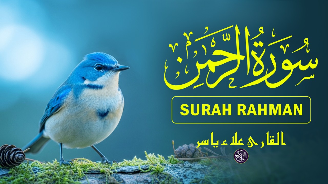 سورة الرحمن - تلاوة قرآنية جميلة مع لحن هادئ القارئ علاء ياسر Surah Rahman By Alaa Yasser
