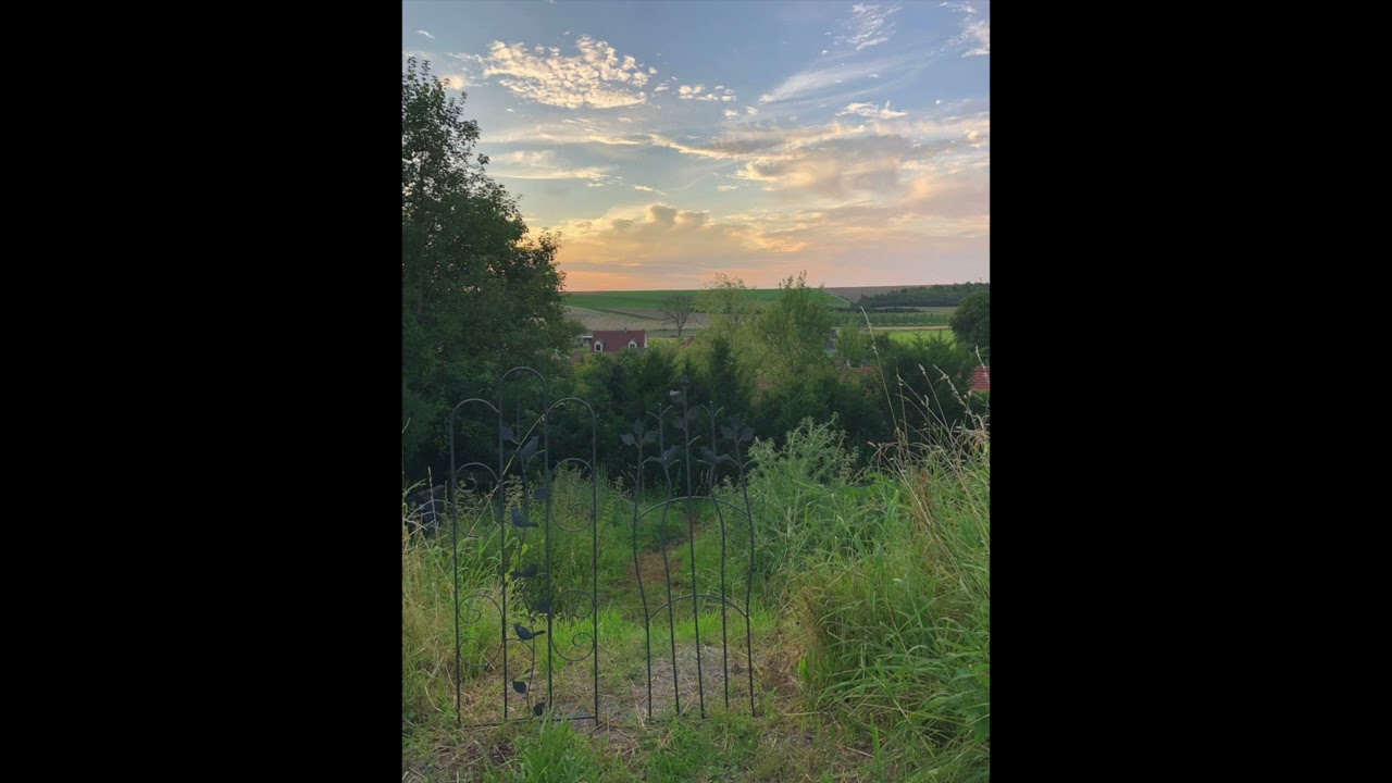 Chants d'oiseaux du petit matin en Champagne-Ardennes,  01 mai 2025