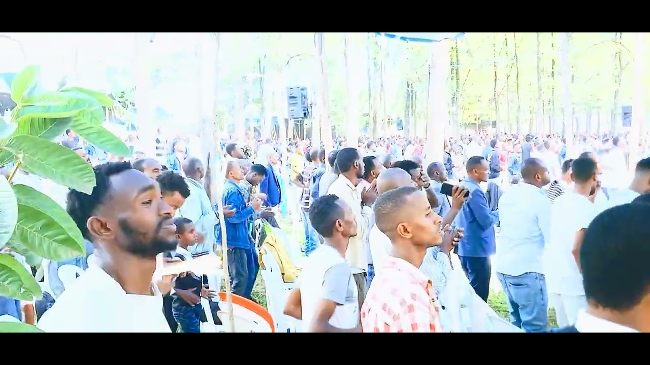Areka bethel amilko 