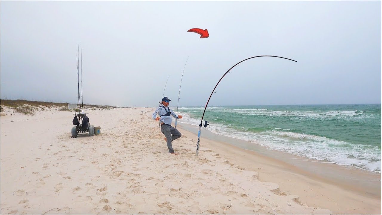 GIGANTIC Hit From Unknown Species!!