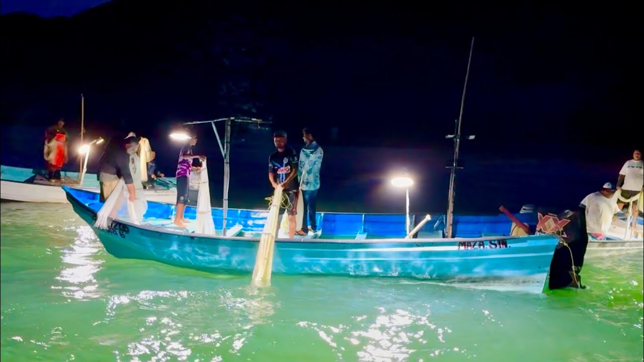 Capturando pajaritos en Mazatlán y comiendo mariscos en Ciudad de México