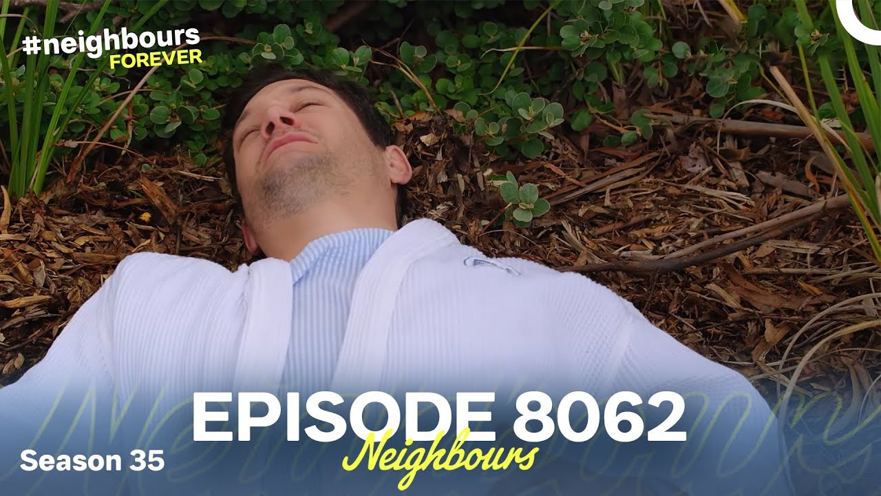 Neighbours Season 35 Episode 8062 (2019)