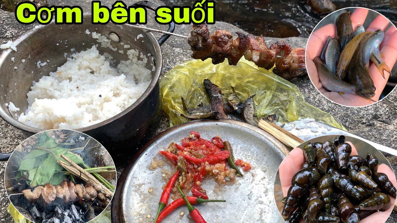 Lượm ốc đá và bữa cơm bên suối mát (Picking up snails and having a meal by the cool stream)