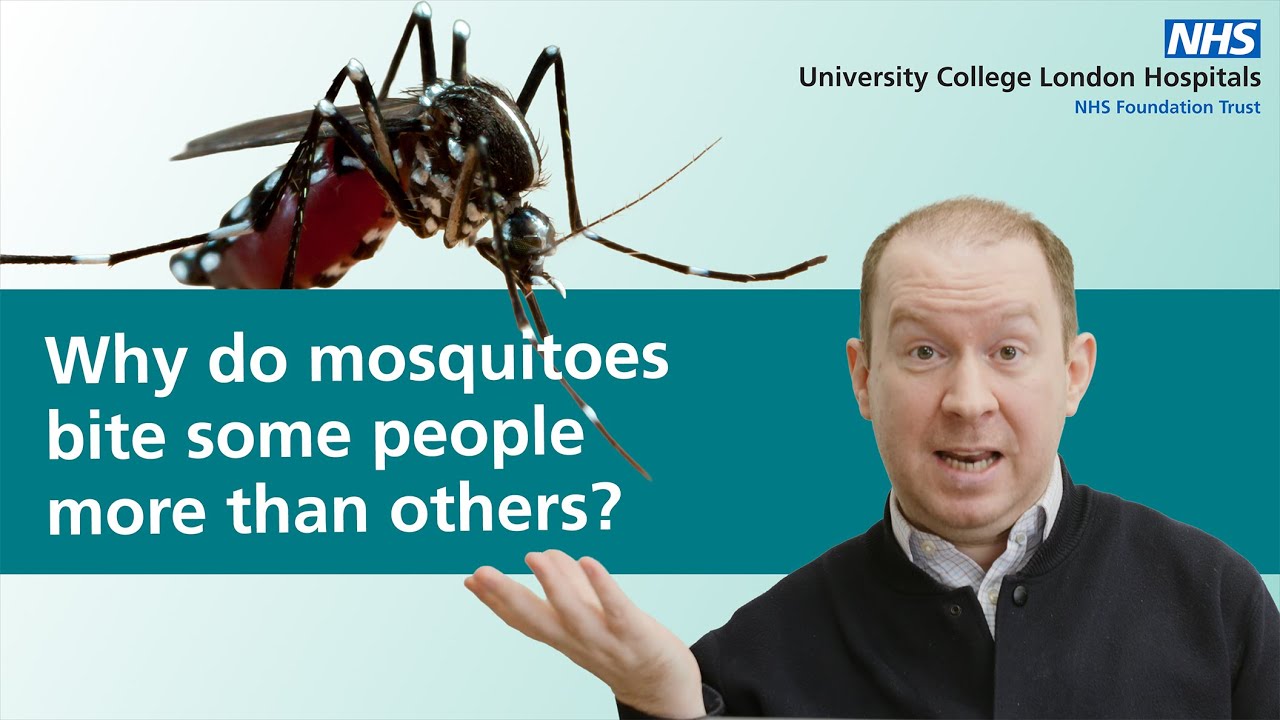 Why do mosquitoes bite some people more than others?
