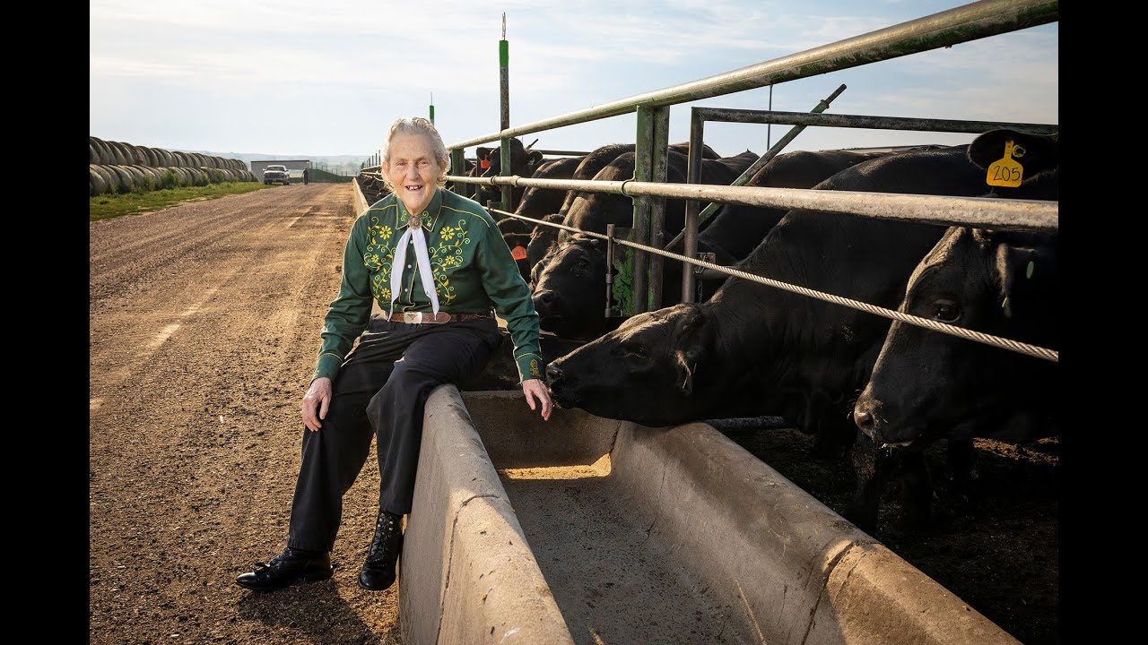 The future of animal welfare: Temple Grandin’s graduate students describe her influence