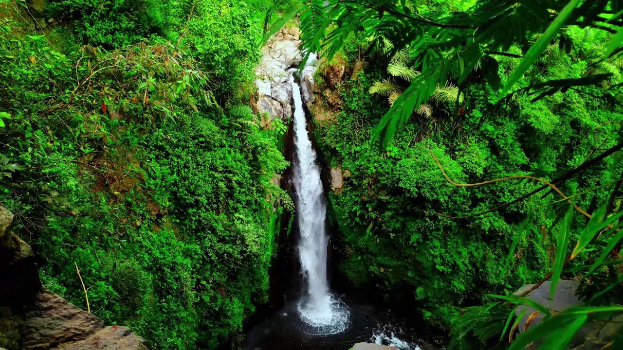 River Sound Relaxing – Nature Sounds of Flowing River Water for Peaceful Meditation