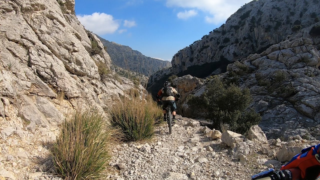 Alaró-Tossals-Cúber 15-02-2020 (Mallorca IronRiders)