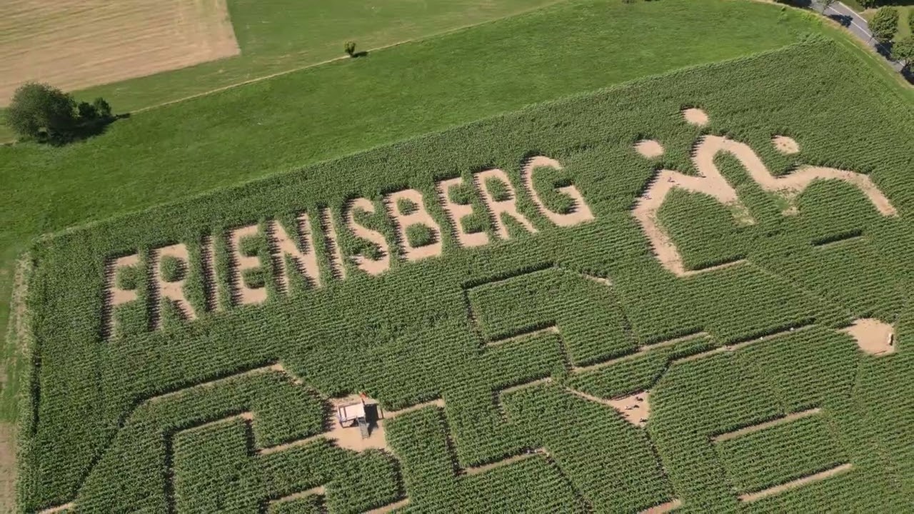 Corn Maze Frienisberg - DJI Mini 3 Pro